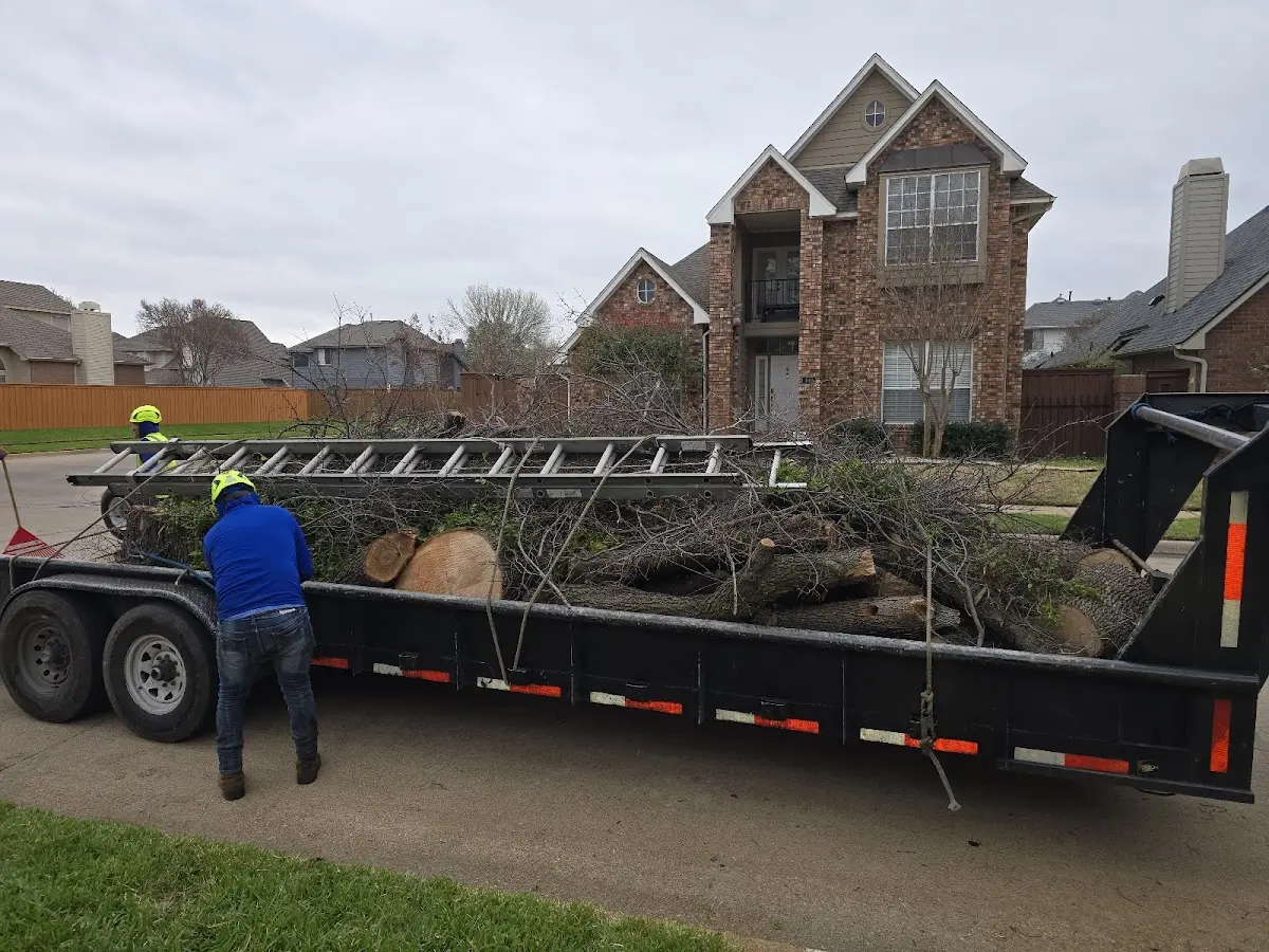 Expert Tree Fertilization with proper safety equipment in Fowler